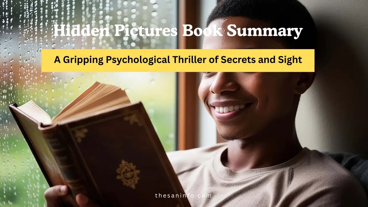 Hidden Pictures Book Summary