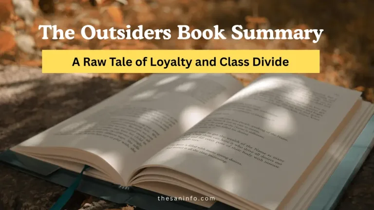 The Outsiders Book Summary